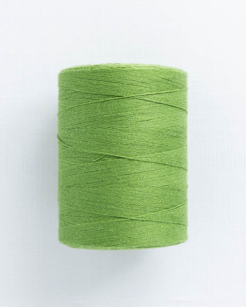 Maurice Brassard & Fils Inc. Weaving Yarn Limette Maurice Brassard 8/2 Cotton