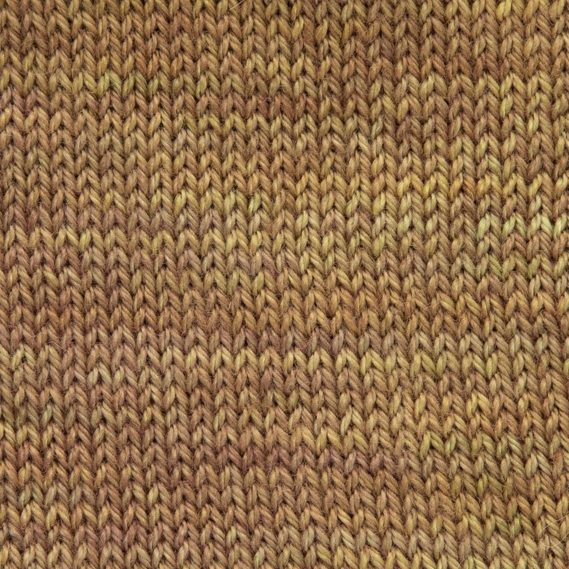 SweetGeorgia Yarns DK Yarns Boreal Forest Flaxen Silk DK