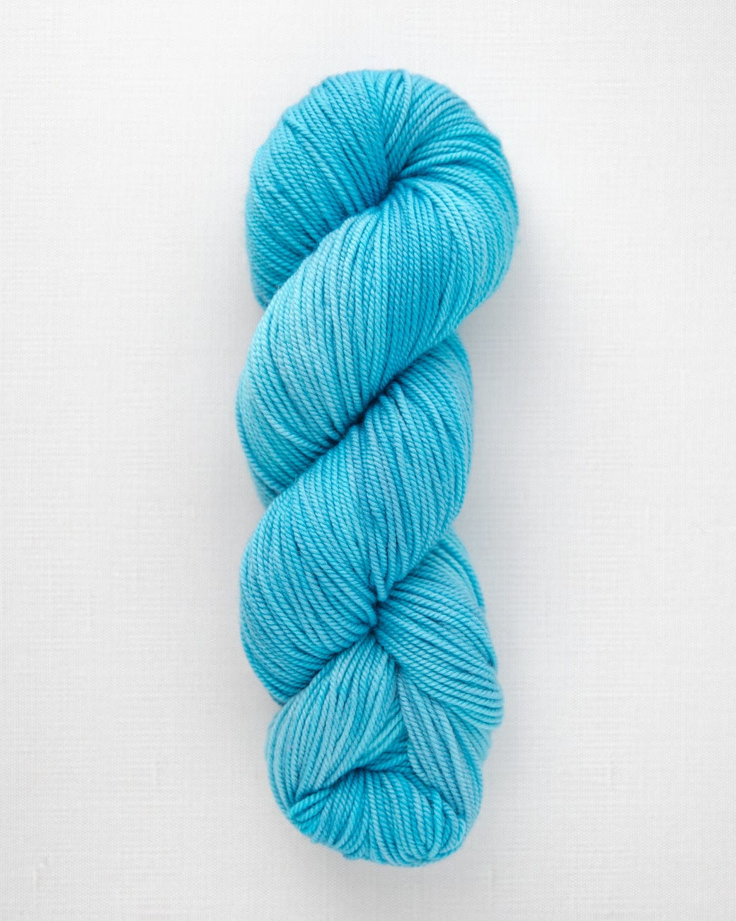 SweetGeorgia Yarns DK Yarns Coastline Superwash DK