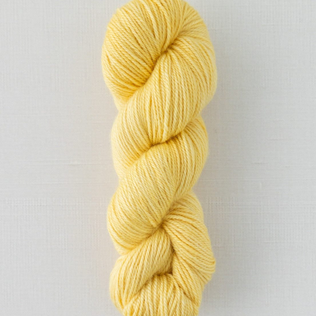 SweetGeorgia Yarns DK Yarns Popcorn Trifecta DK / Enlighten