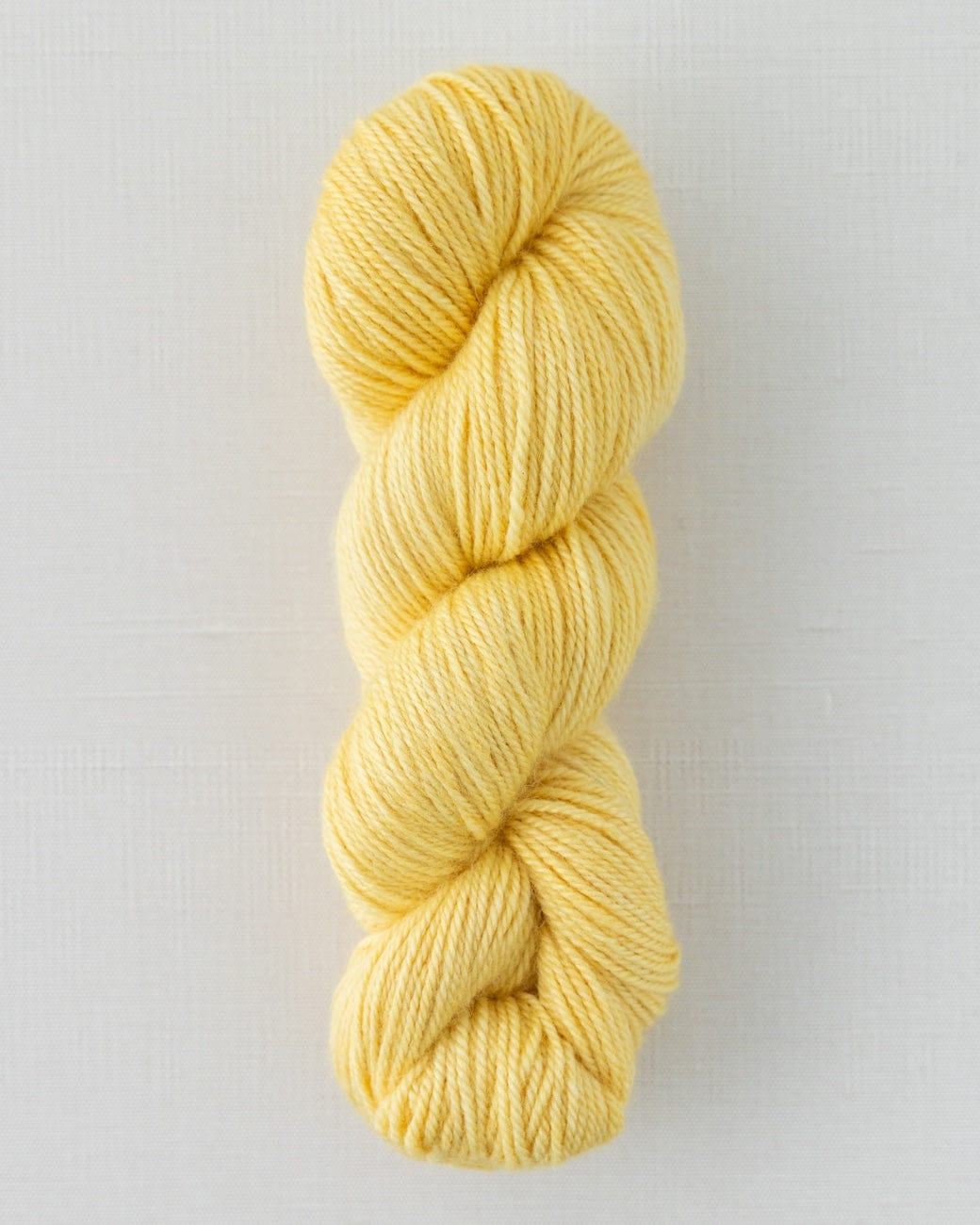 SweetGeorgia Yarns DK Yarns Popcorn Trifecta DK / Enlighten