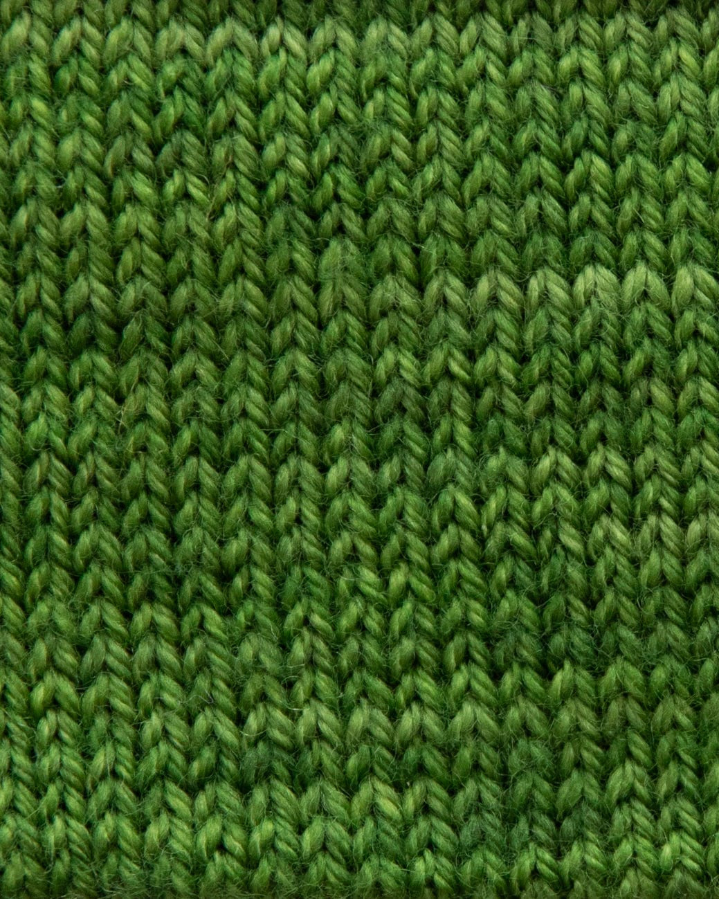 SweetGeorgia Yarns Fingering Yarns Basil Mini-Skein / Tough Love Sock