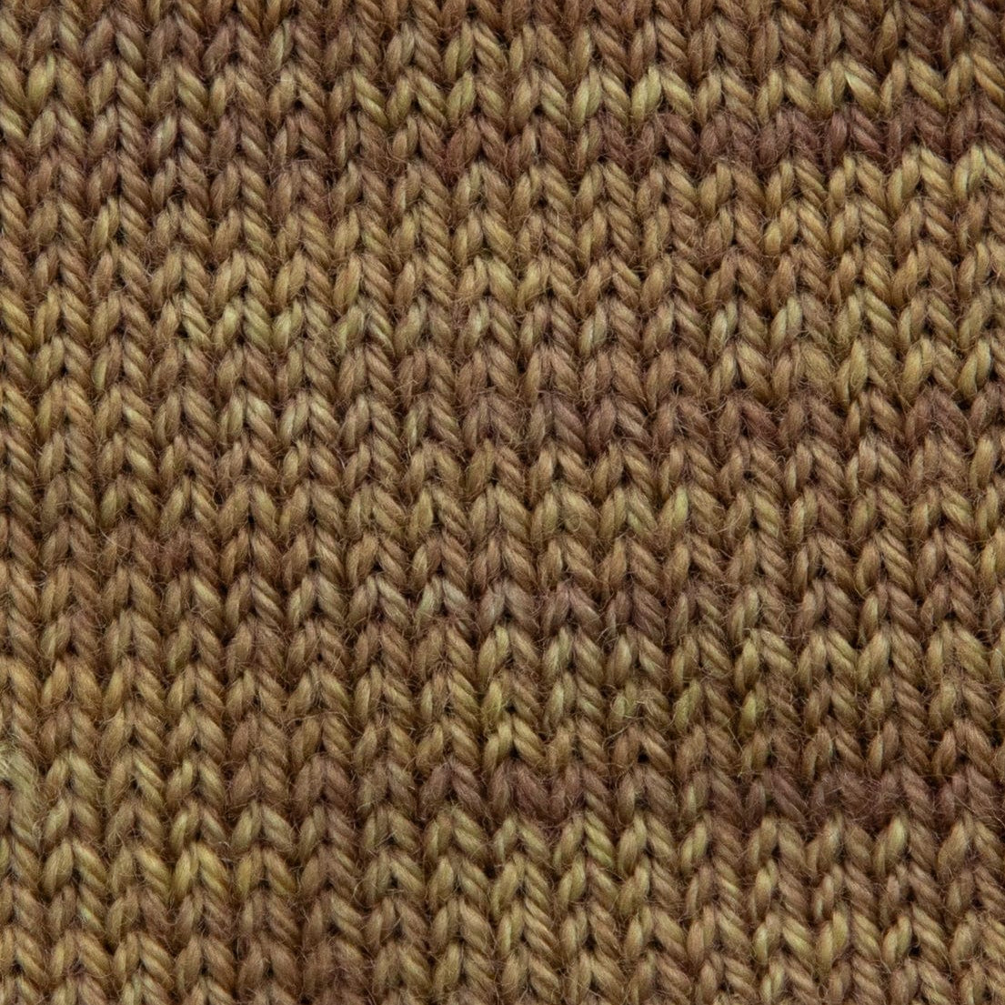 SweetGeorgia Yarns Fingering Yarns Boreal Forest Micro-Skein / Tough Love Sock