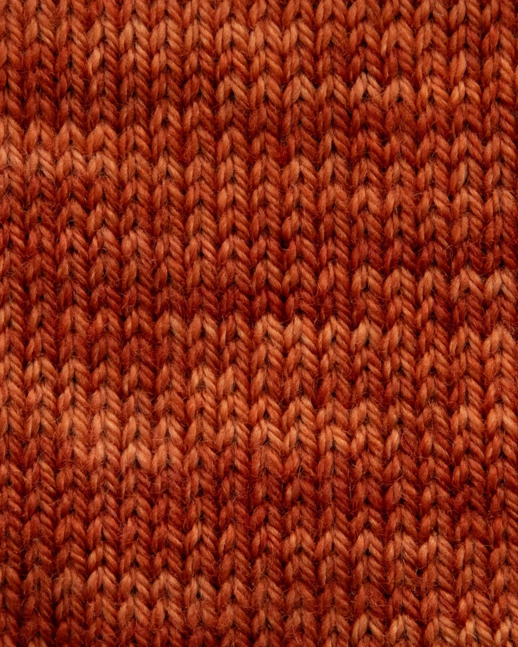 SweetGeorgia Yarns Fingering Yarns Cider Mini-Skein / Tough Love Sock