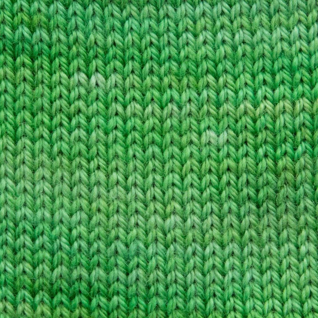 SweetGeorgia Yarns Fingering Yarns Cilantro Micro-Skein / Tough Love Sock