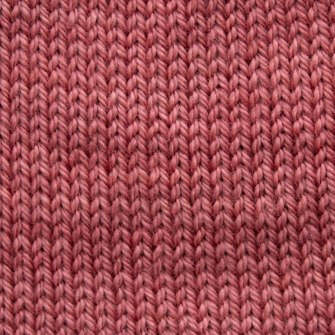 SweetGeorgia Yarns Fingering Yarns Desert Clay Mini-Skein / Tough Love Sock
