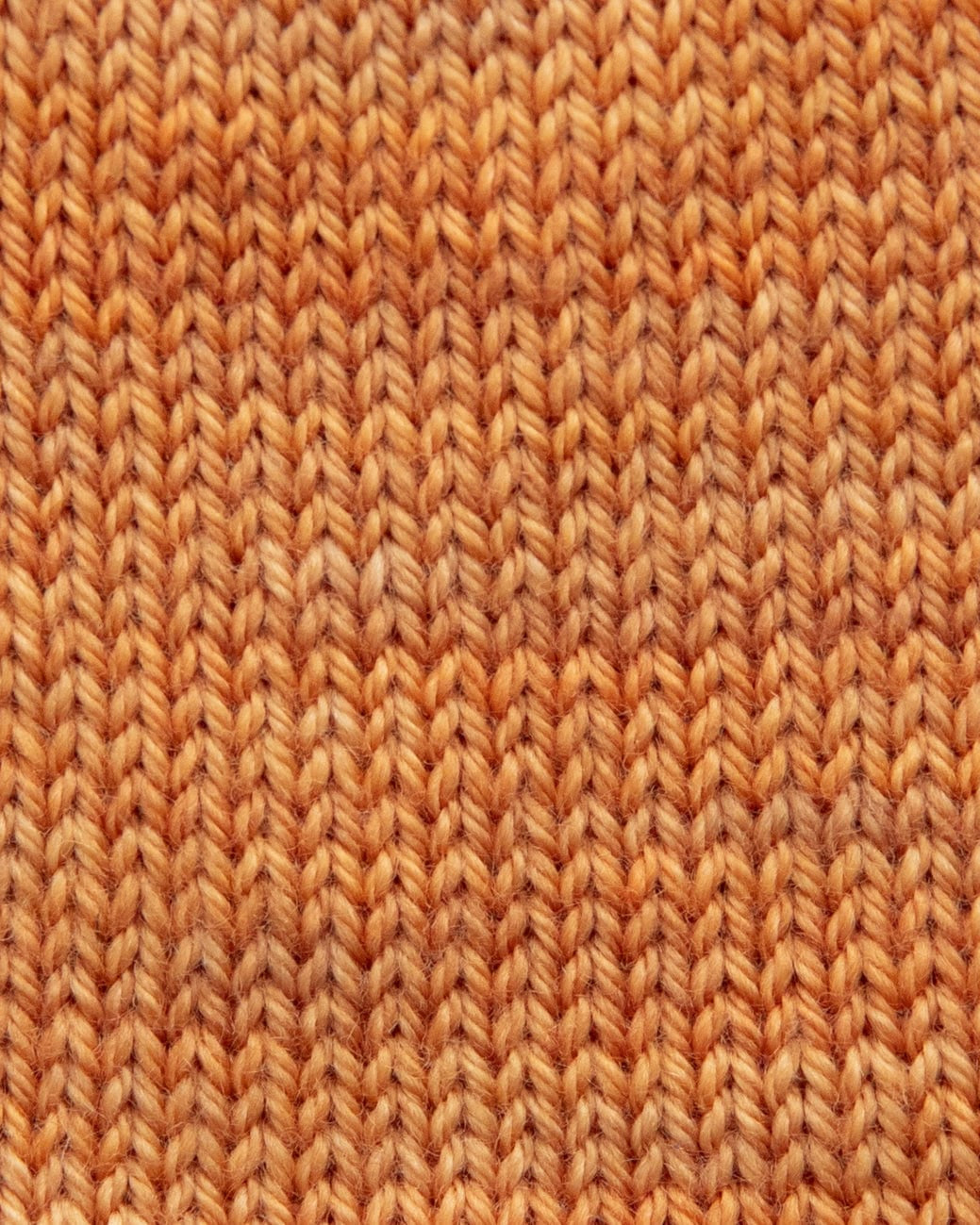 SweetGeorgia Yarns Fingering Yarns Endless Summer Mini-Skein / Tough Love Sock