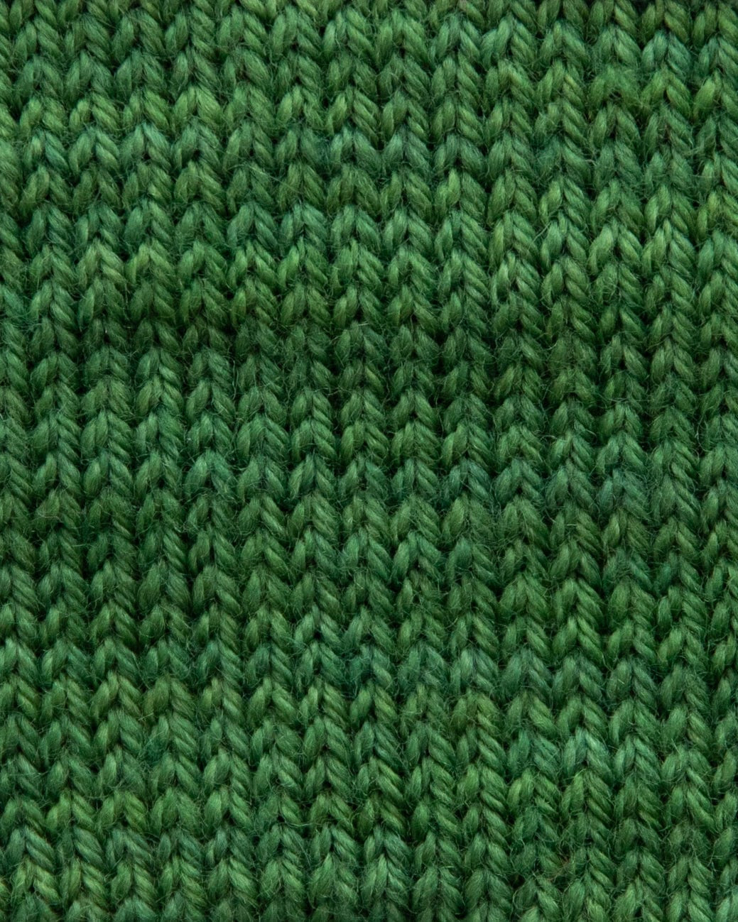 SweetGeorgia Yarns Fingering Yarns Fern Micro-Skein / Tough Love Sock