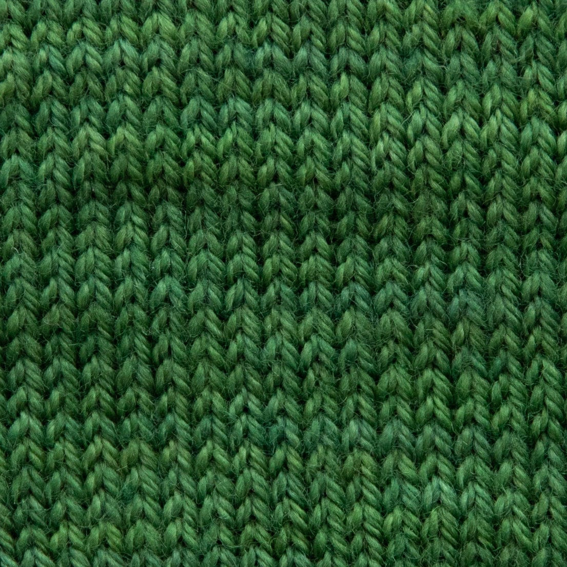 SweetGeorgia Yarns Fingering Yarns Fern Mini-Skein / Tough Love Sock