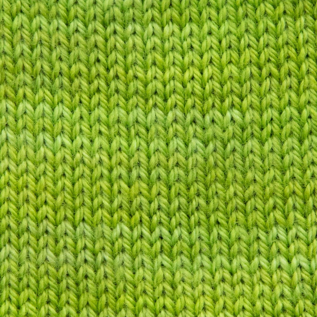 SweetGeorgia Yarns Fingering Yarns Lime Micro-Skein / Tough Love Sock