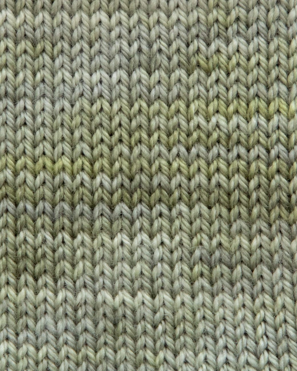 SweetGeorgia Yarns Fingering Yarns Sage Mini-Skein / Tough Love Sock