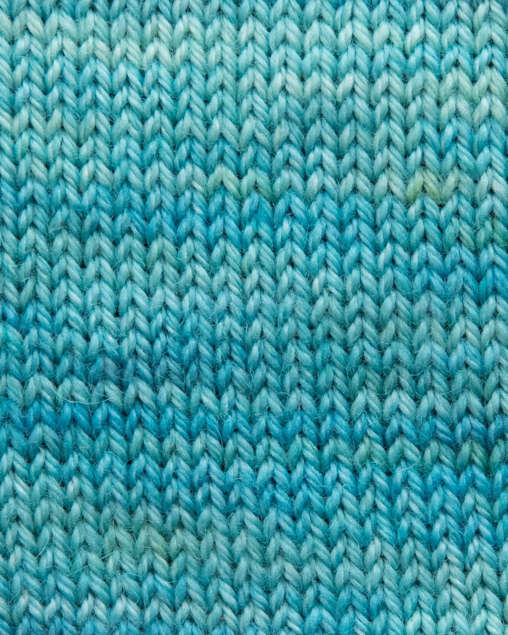 SweetGeorgia Yarns Fingering Yarns Shoreline Mini-Skein / Tough Love Sock