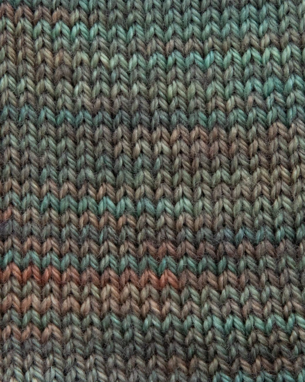 SweetGeorgia Yarns Fingering Yarns Winter Haven Mini-Skein / Tough Love Sock