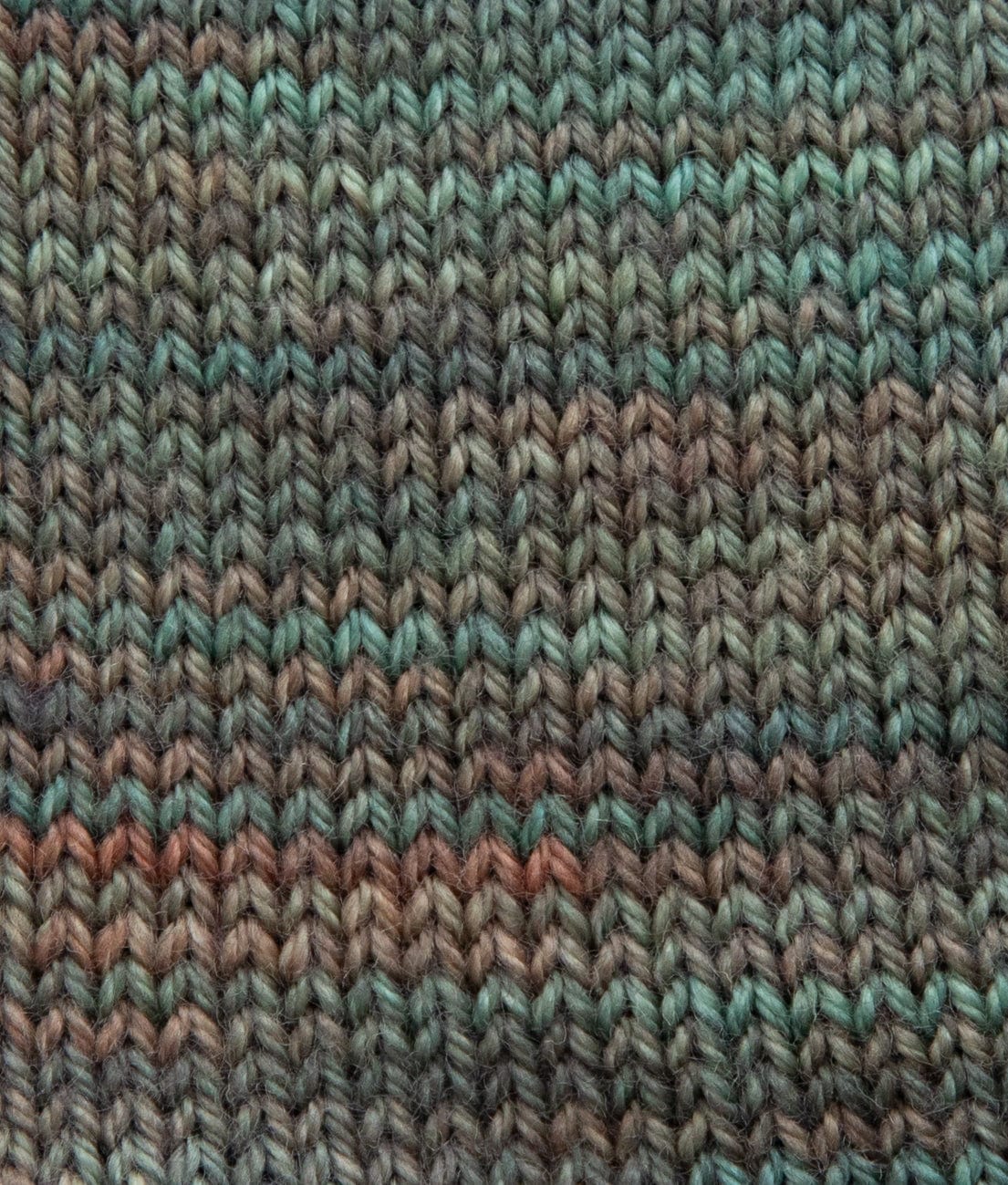 SweetGeorgia Yarns Fingering Yarns Winter Haven Mini-Skein / Tough Love Sock