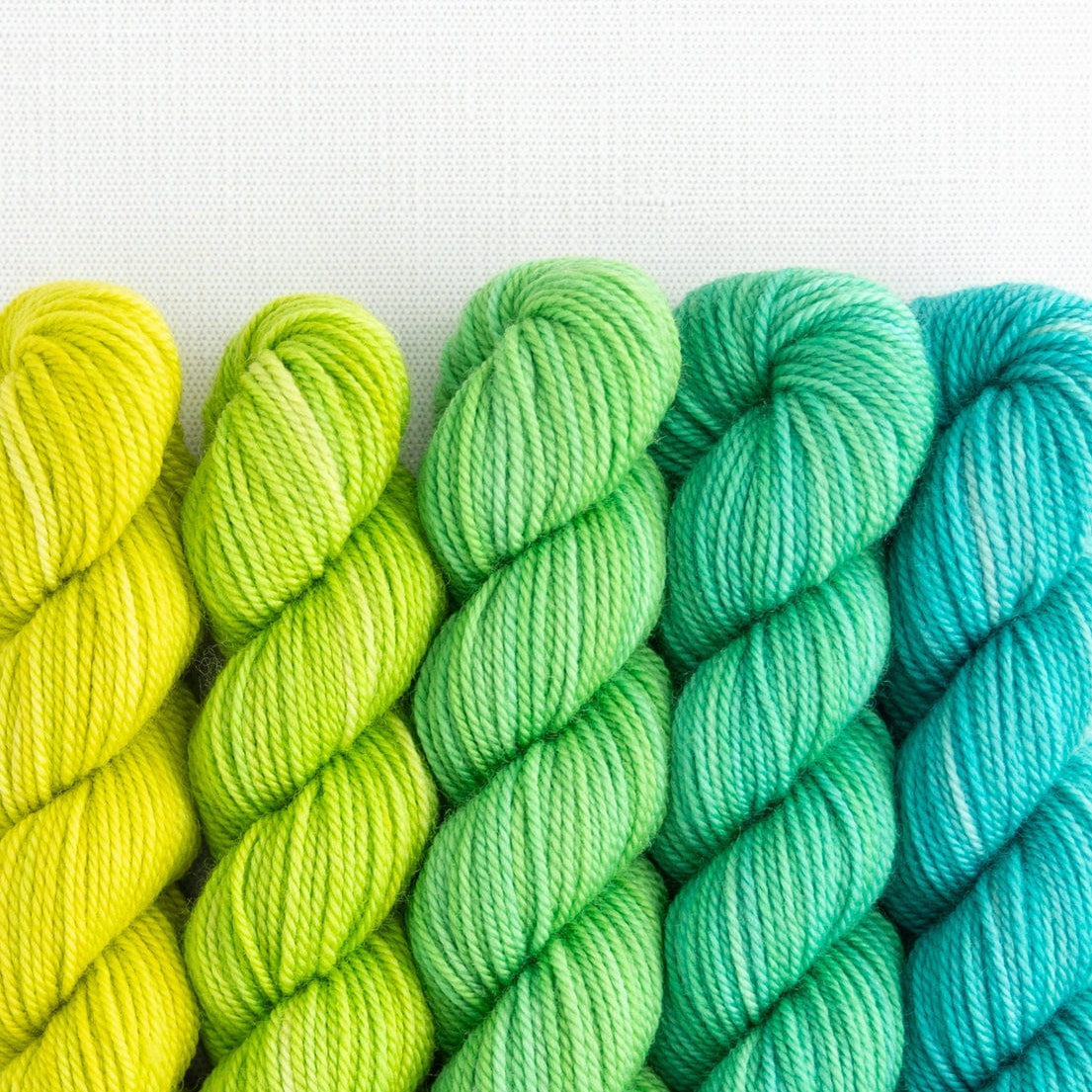 SweetGeorgia Yarns Mini-Skein Yarn Sets Picnic in the Park Party of Five / Tough Love / Mini-Skein Set
