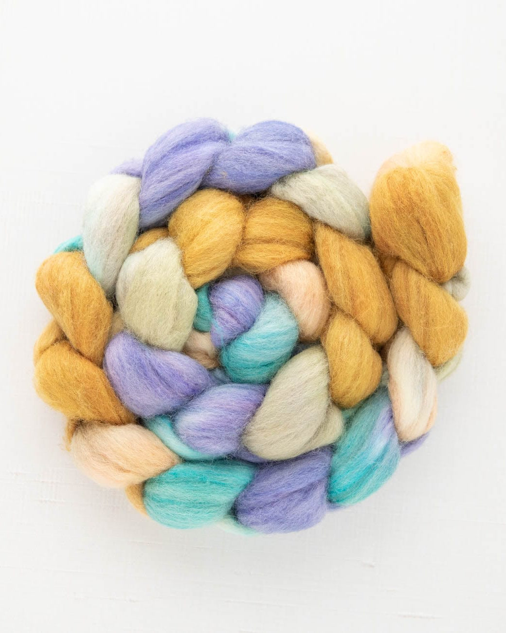 SweetGeorgia Yarns Spinning Fibre Beachside Brunch Targhee Spinning Fibre