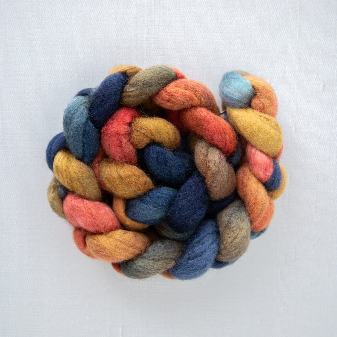 SweetGeorgia Yarns Spinning Fibre BFL+Silk / Banff Bonfire True North Collection