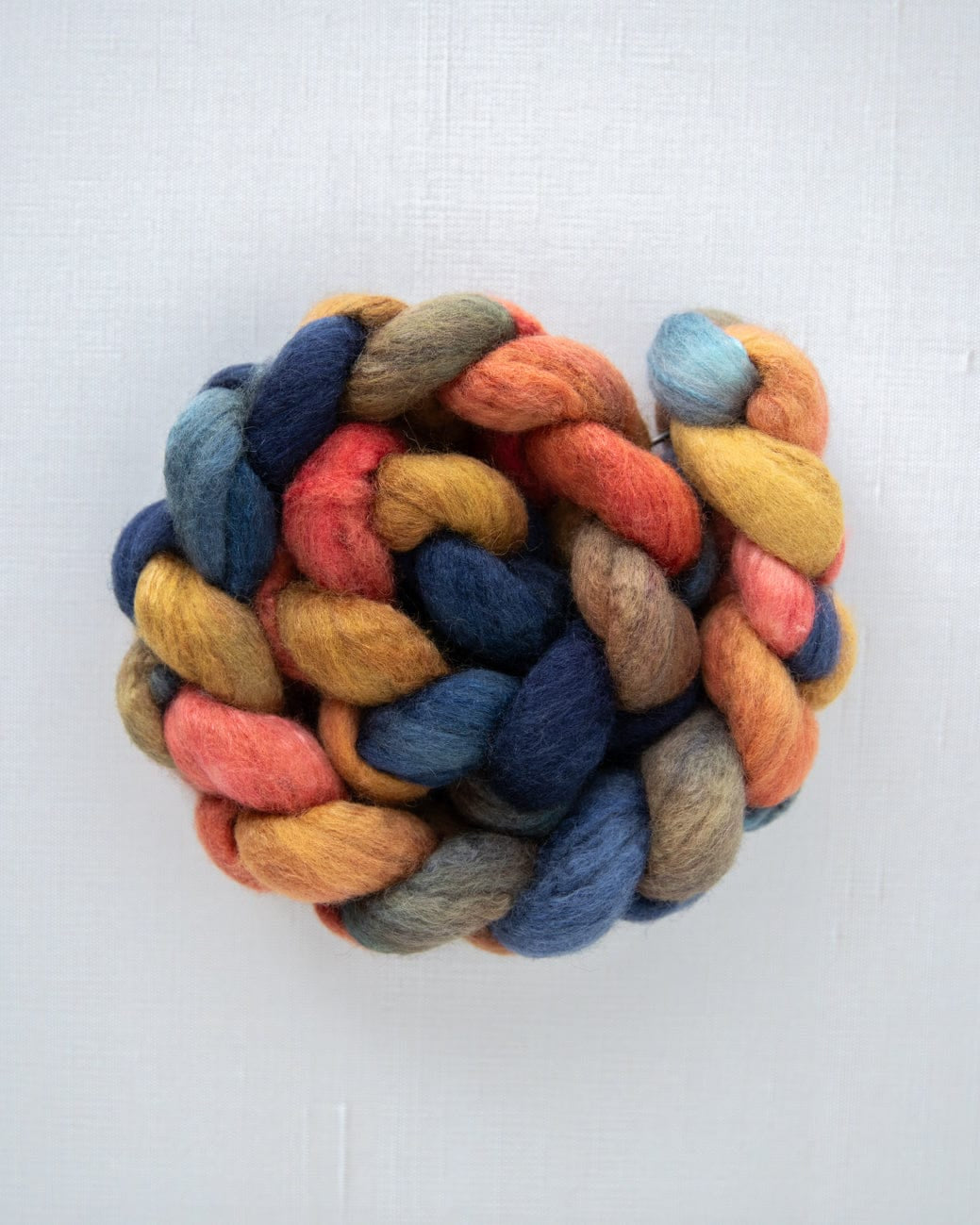 SweetGeorgia Yarns Spinning Fibre BFL+Silk / Banff Bonfire True North Collection