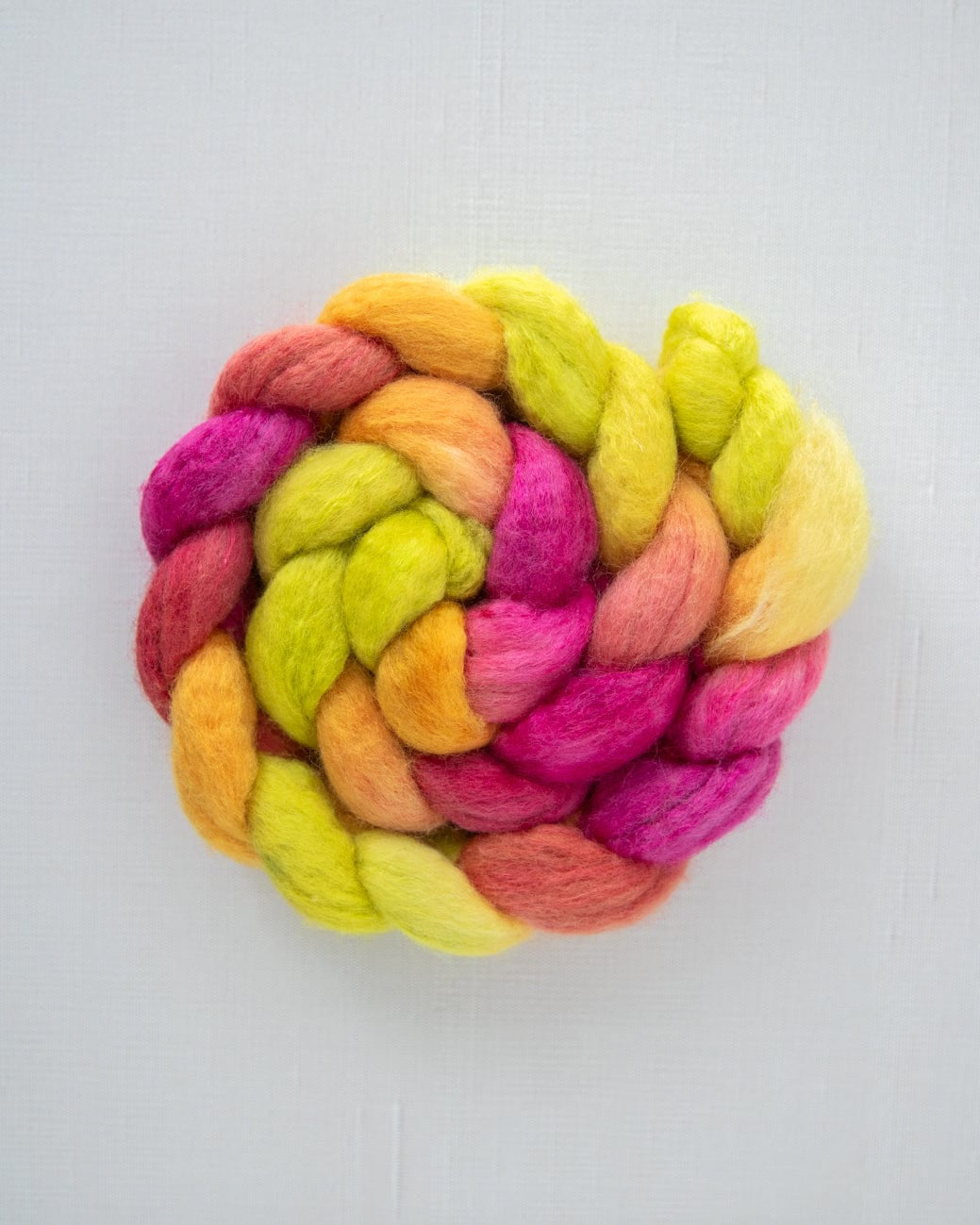 SweetGeorgia Yarns Spinning Fibre BFL+Silk / Celebrating at Cleveland Park True North Collection