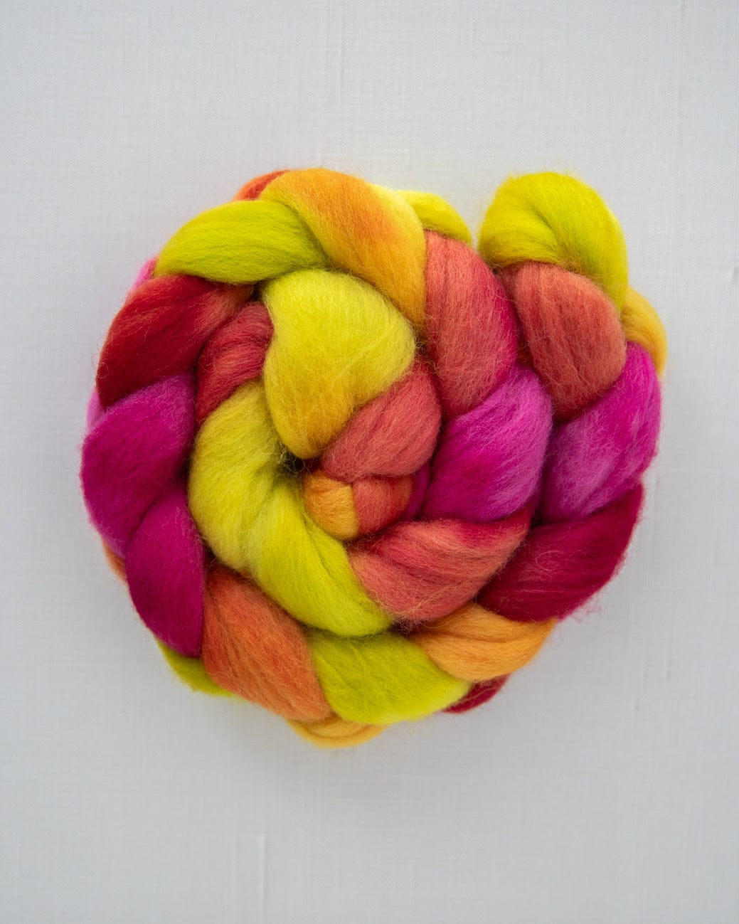 SweetGeorgia Yarns Spinning Fibre Corriedale / Celebrating at Cleveland Park True North Collection