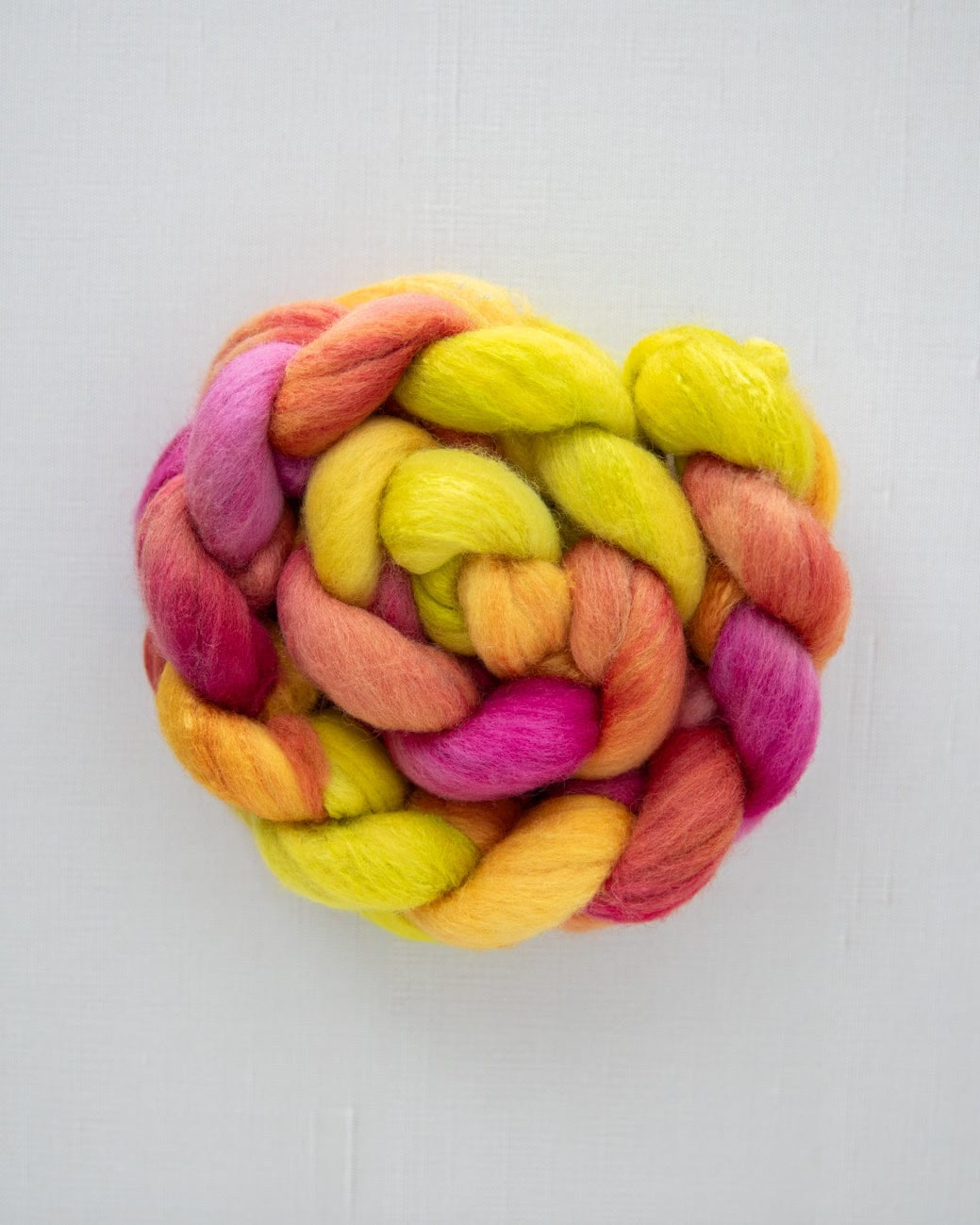 SweetGeorgia Yarns Spinning Fibre Polwarth+Silk / Celebrating at Cleveland Park True North Collection