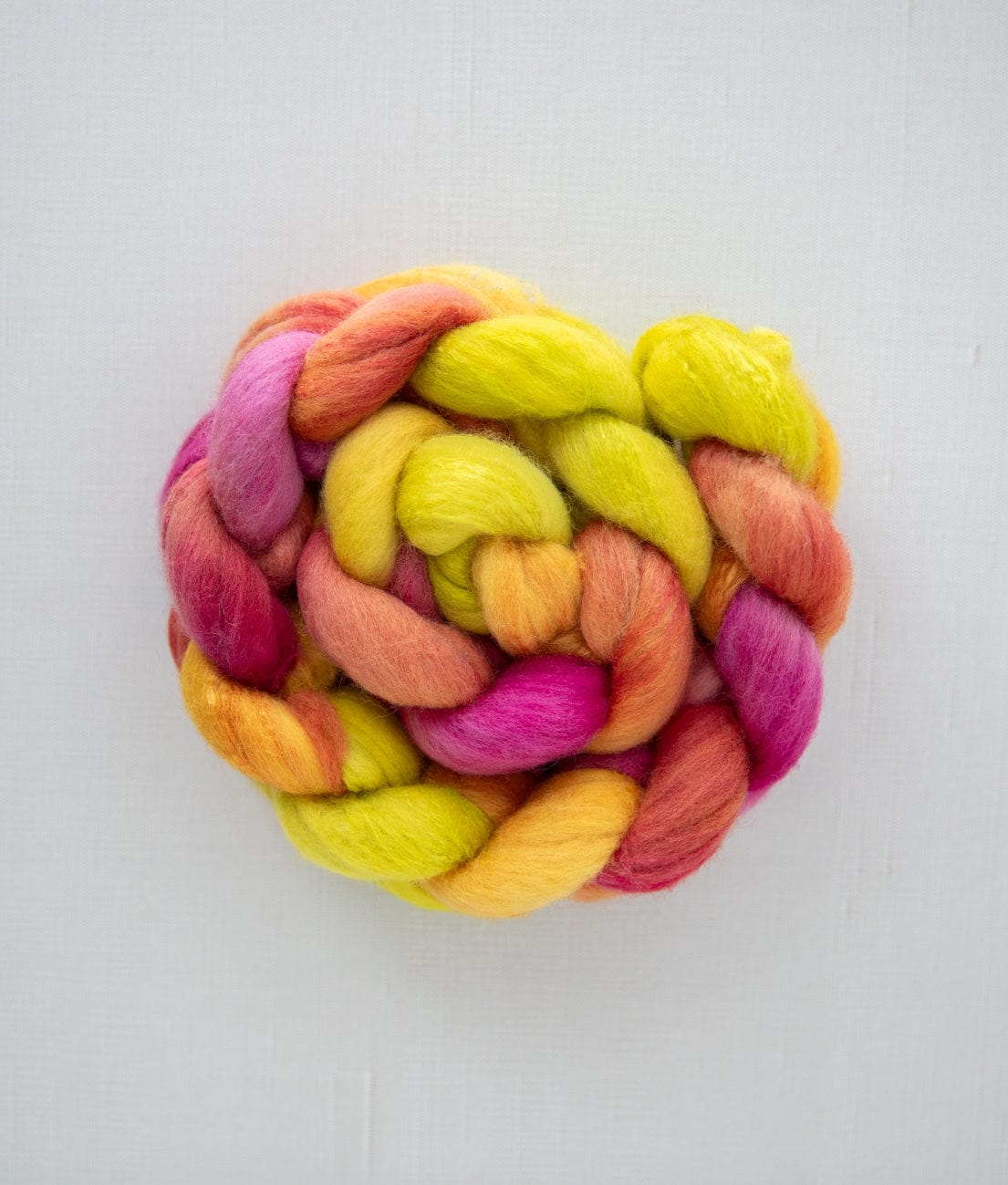 SweetGeorgia Yarns Spinning Fibre Polwarth+Silk / Celebrating at Cleveland Park True North Collection