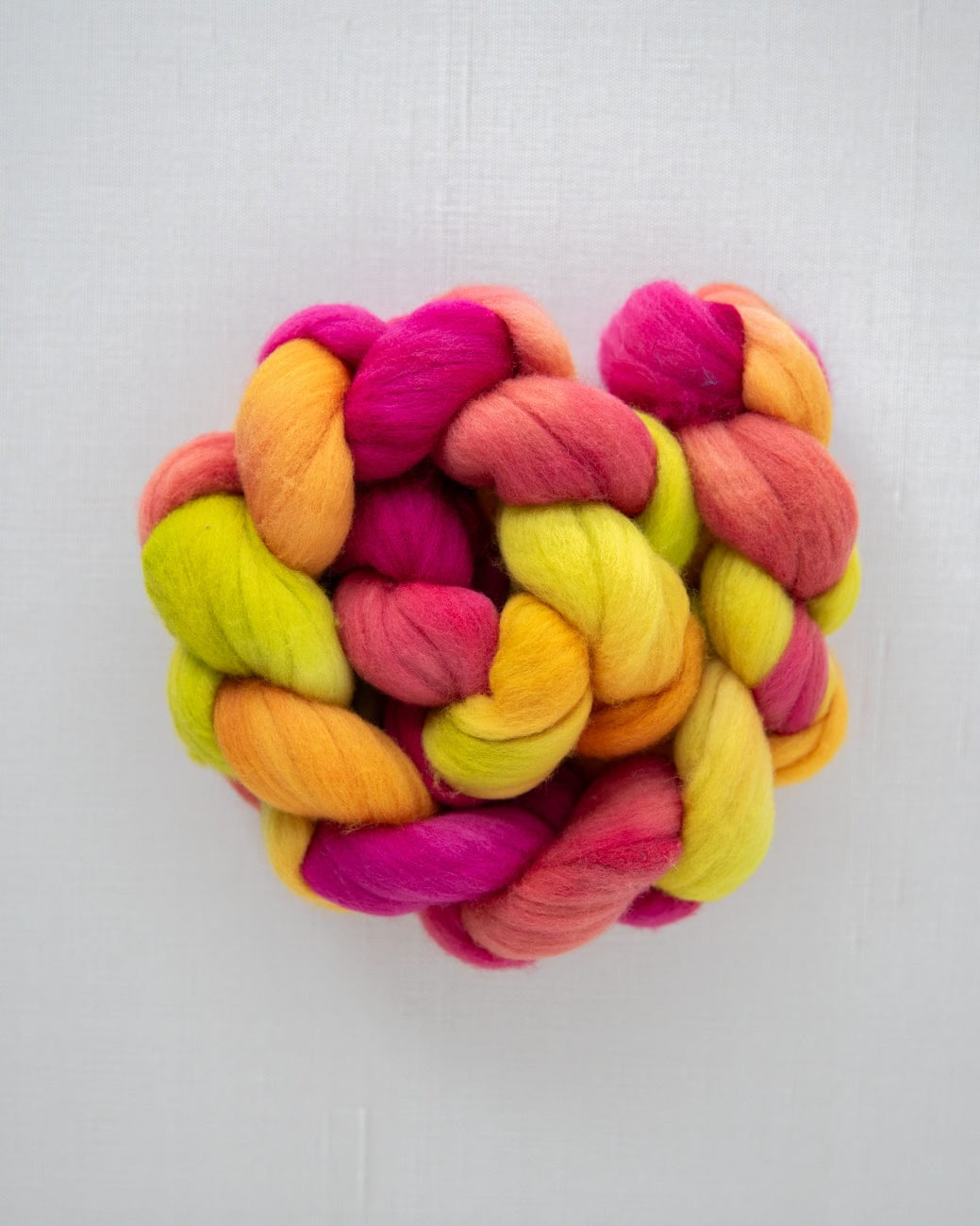 SweetGeorgia Yarns Spinning Fibre Targhee / Celebrating at Cleveland Park True North Collection