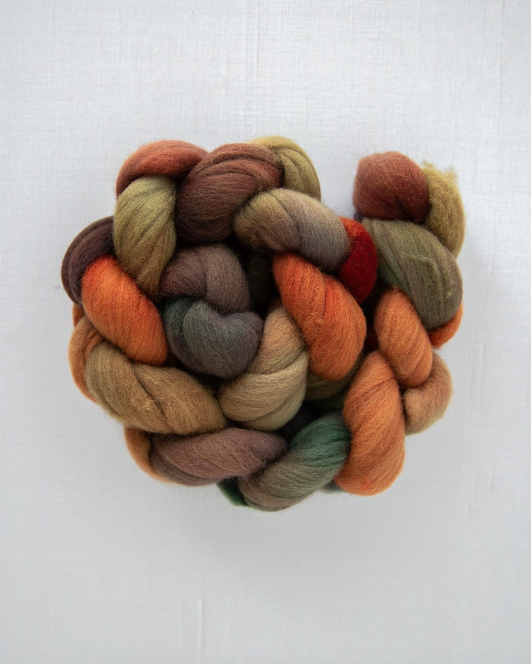 SweetGeorgia Yarns Spinning Fibre Targhee / Driving to Muskoka True North Collection