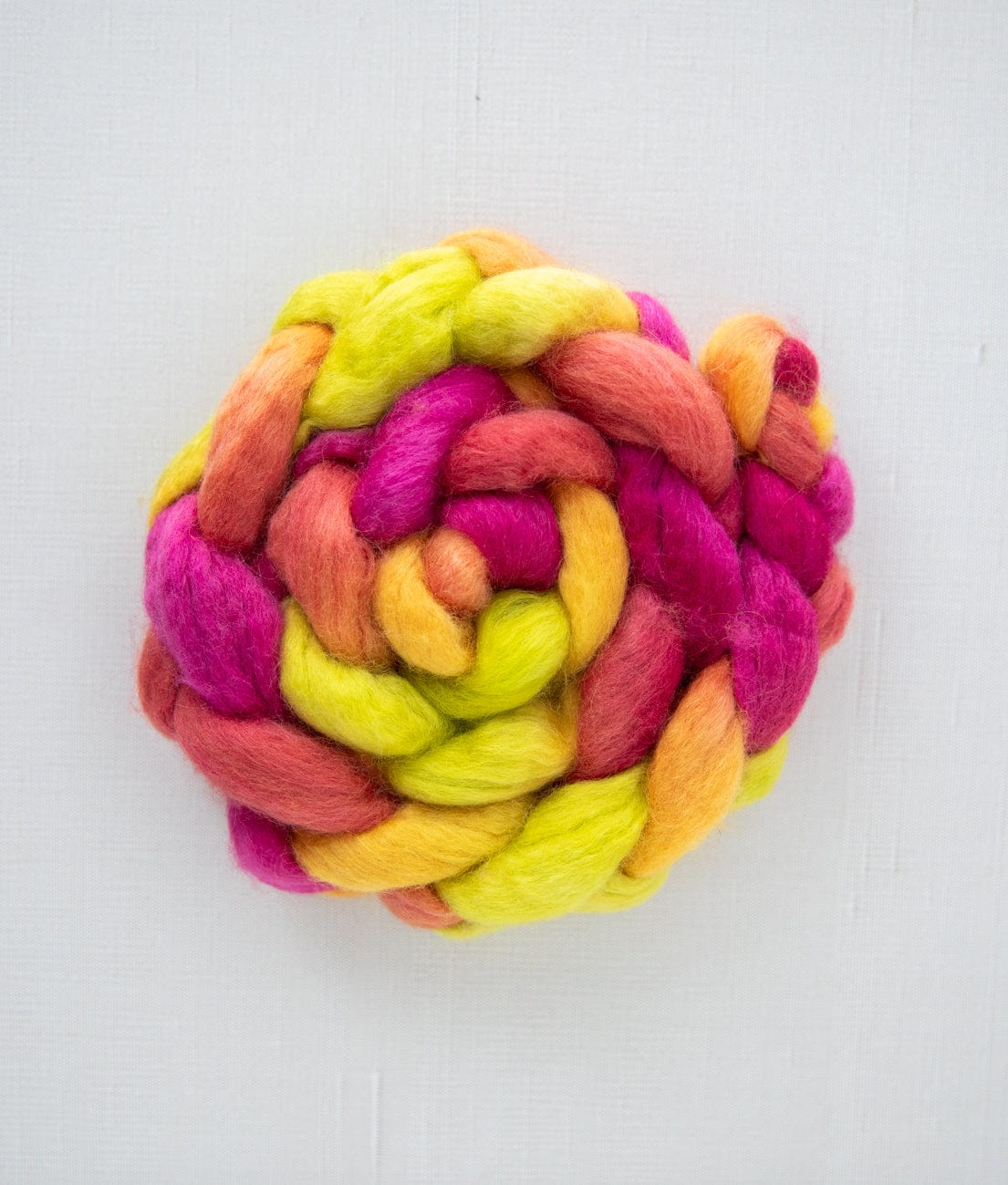 SweetGeorgia Yarns Spinning Fibre Trifecta / Celebrating at Cleveland Park True North Collection