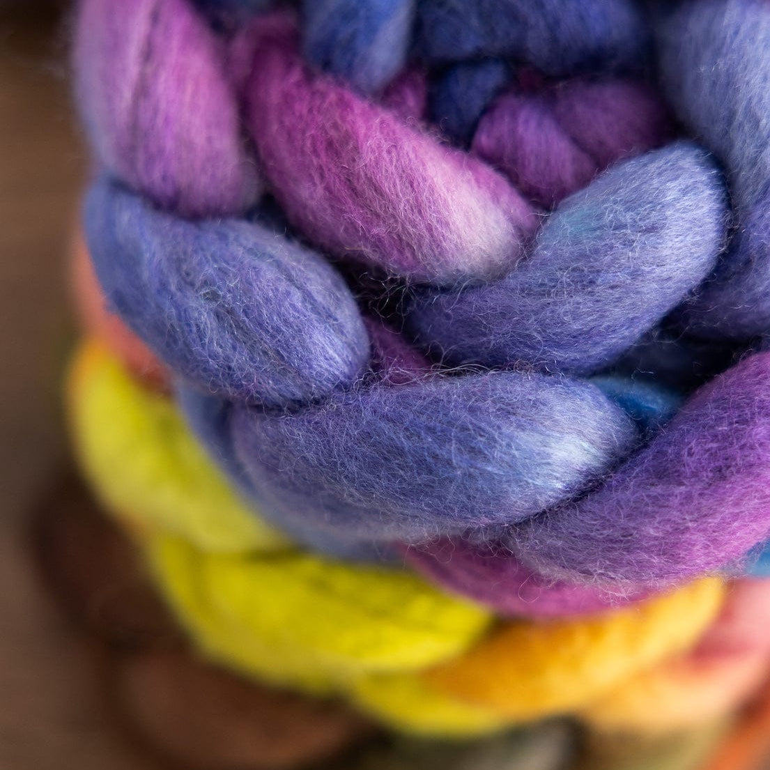 SweetGeorgia Yarns Spinning Fibre True North Collection