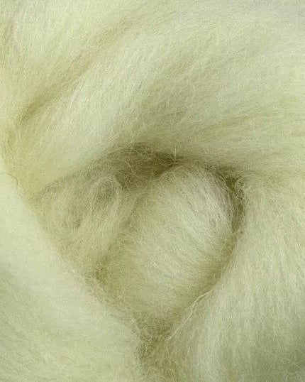 SweetGeorgia Yarns Undyed Spinning Fibre Spinning Sheep Breeds Kit / Down & Down-Like Wool