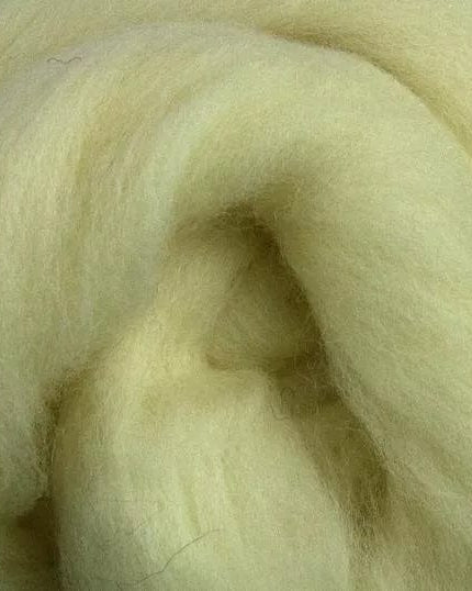 SweetGeorgia Yarns Undyed Spinning Fibre Spinning Sheep Breeds Kit / Down & Down-Like Wool