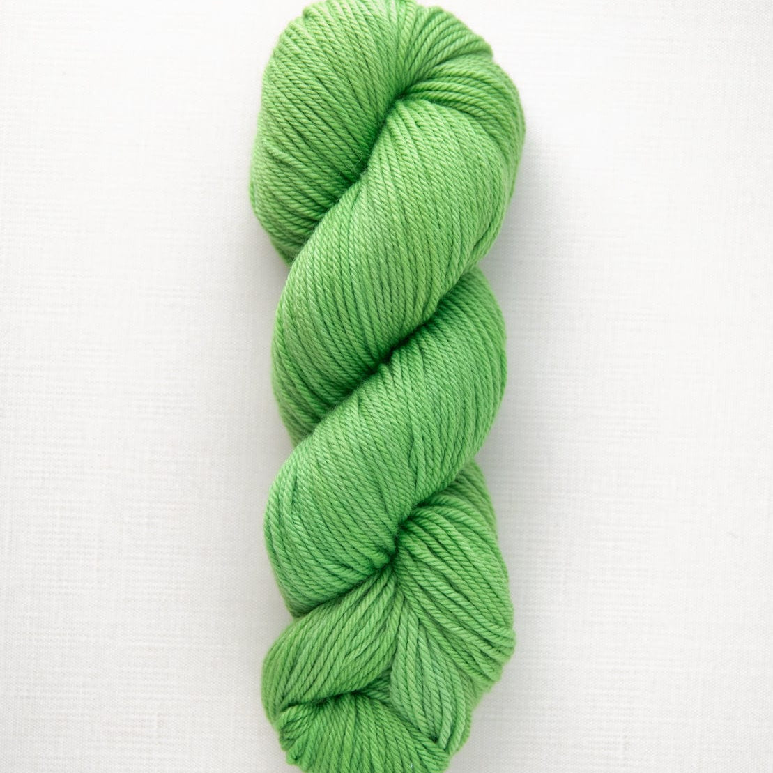 SweetGeorgia Yarns Worsted Yarns Cilantro Superwash Worsted