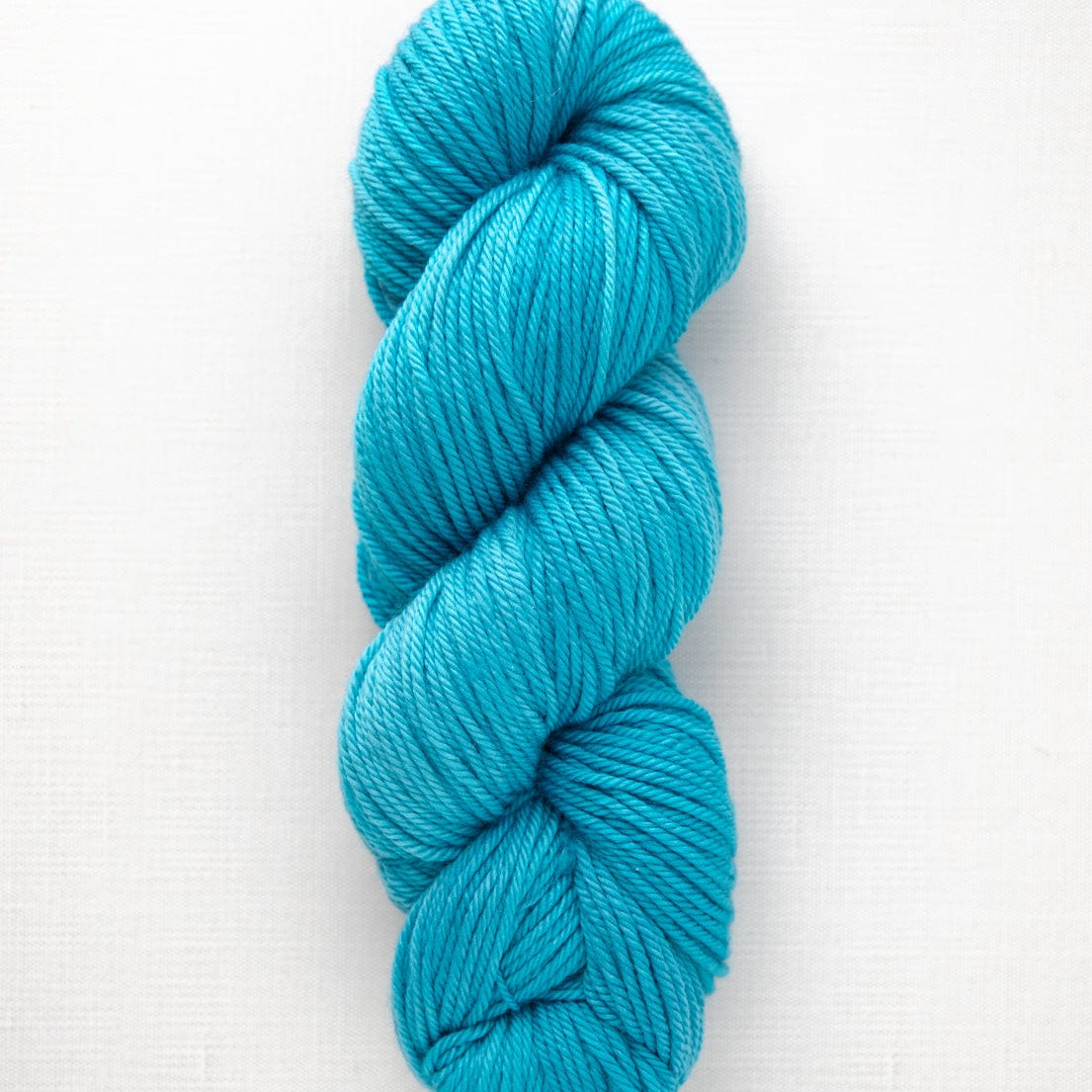 SweetGeorgia Yarns Worsted Yarns Coastline Superwash Worsted