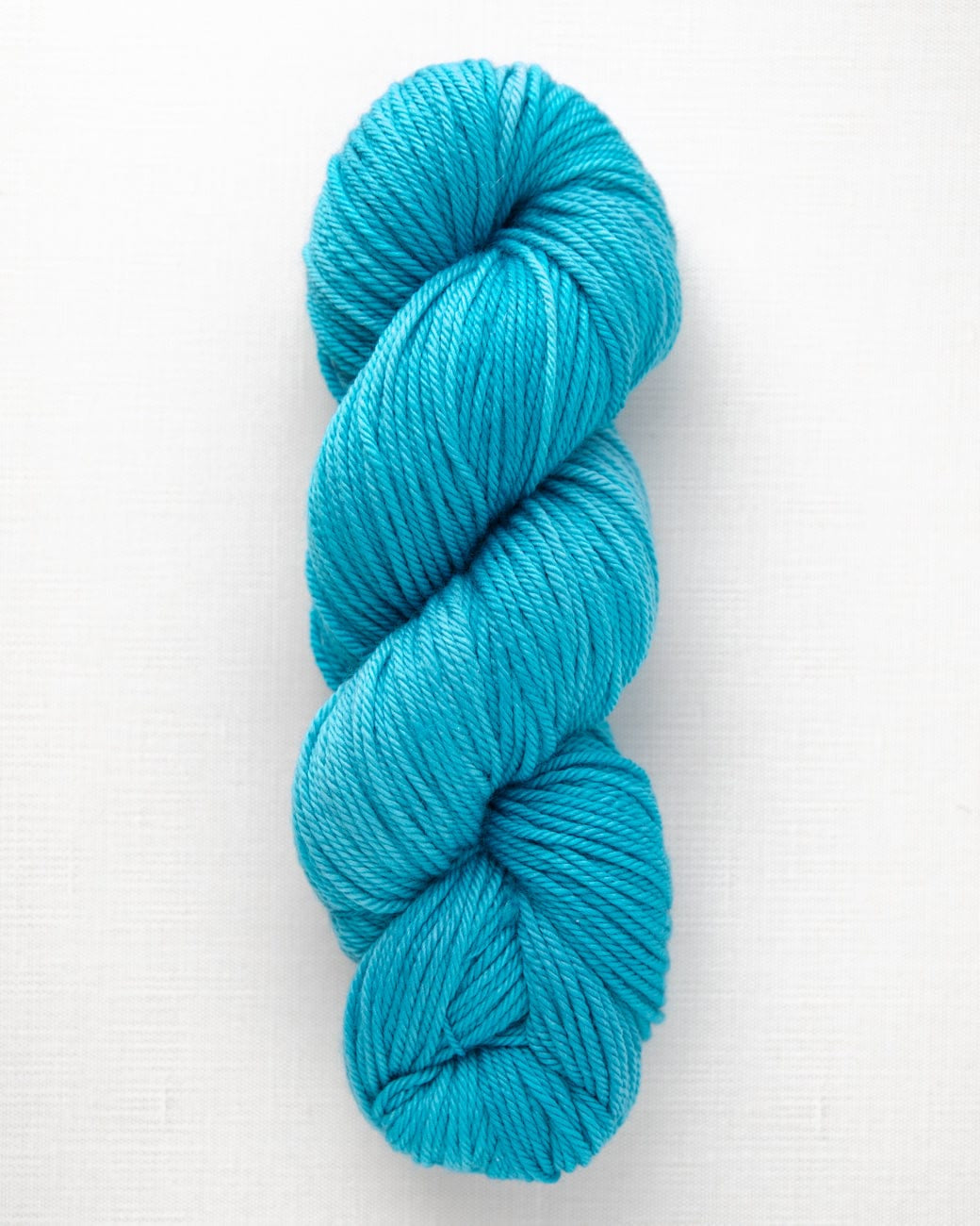 SweetGeorgia Yarns Worsted Yarns Coastline Superwash Worsted