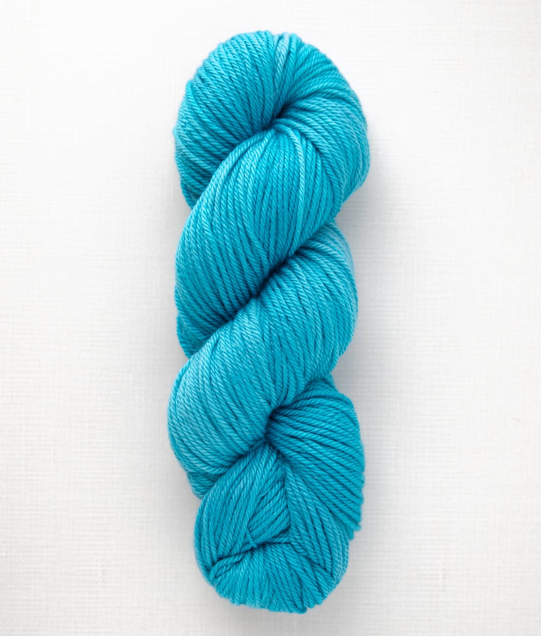 SweetGeorgia Yarns Worsted Yarns Coastline Superwash Worsted