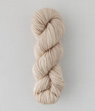 SweetGeorgia Yarns DK Yarns Birch Trifecta DK