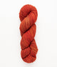 SweetGeorgia Yarns DK Yarns Campfire Superwash DK
