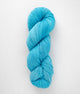SweetGeorgia Yarns DK Yarns Coastline Superwash DK