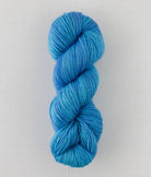 SweetGeorgia Yarns DK Yarns Fizzy Water Trifecta DK