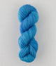 SweetGeorgia Yarns DK Yarns Fizzy Water Trifecta DK
