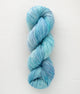 SweetGeorgia Yarns DK Yarns Starlight Superwash DK