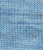 SweetGeorgia Yarns Fingering Yarns Chill Mini-Skein / Tough Love Sock
