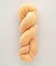 SweetGeorgia Yarns Fingering Yarns Creamsicle Trifecta Fine / Enlighten