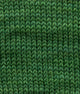 SweetGeorgia Yarns Fingering Yarns Fern Mini-Skein / Tough Love Sock