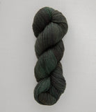 SweetGeorgia Yarns Fingering Yarns Forest Walk Trifecta Fine