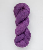 SweetGeorgia Yarns Fingering Yarns Huckleberry CashLuxe Spark