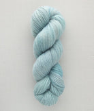 SweetGeorgia Yarns Fingering Yarns Hydrangea Trifecta Fine / Enlighten
