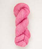 SweetGeorgia Yarns Fingering Yarns Secrets CashLuxe Spark