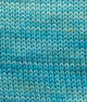 SweetGeorgia Yarns Fingering Yarns Shoreline Micro-Skein / Tough Love Sock